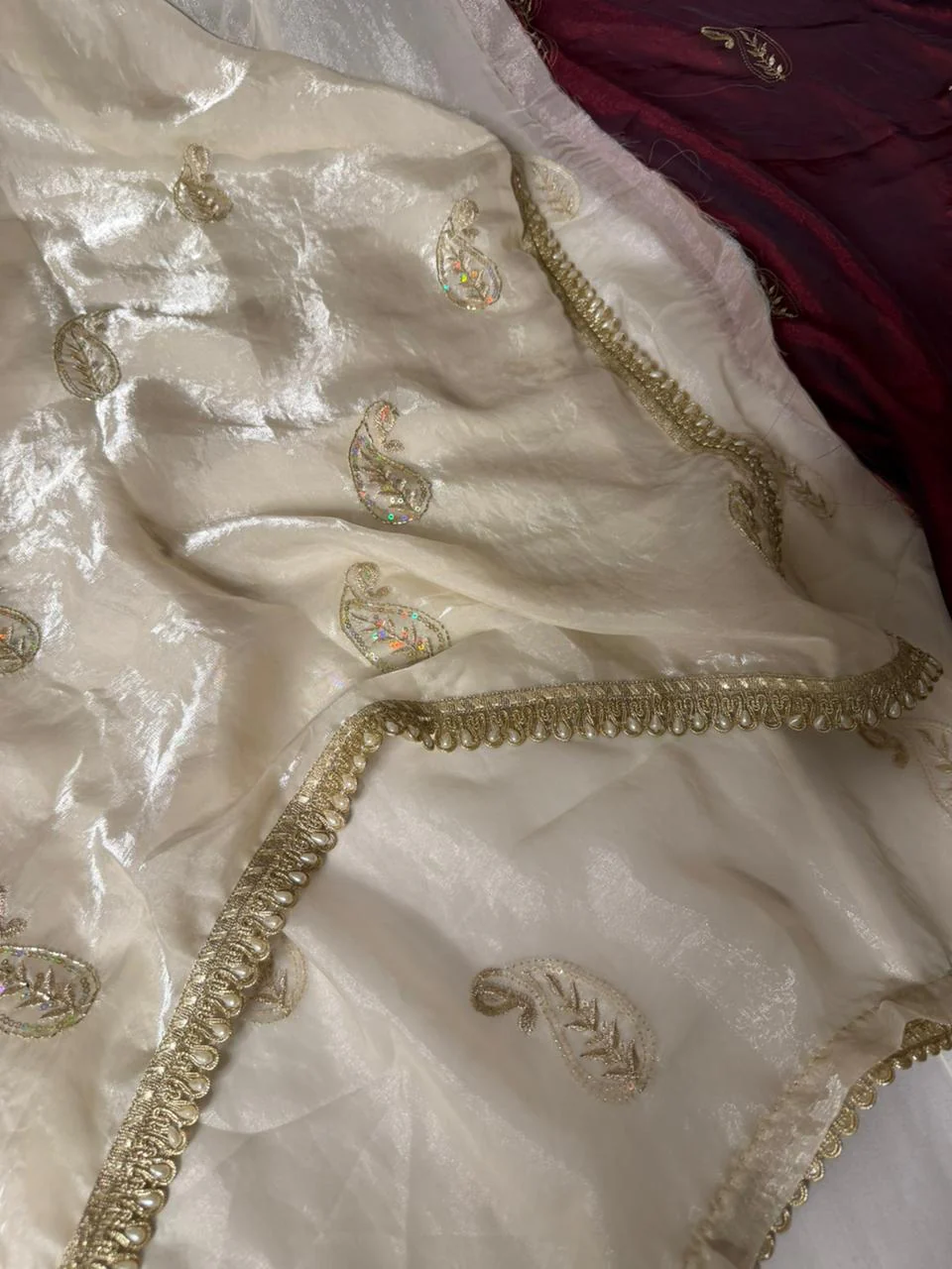 Ivory Cream Shade Shimmery Tissue Silk Handwork Saree - Image 2