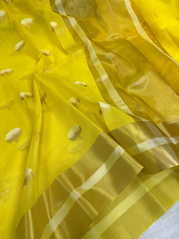Katrina Kaif Inspired Linen Cotton Silk Saree - Image 4